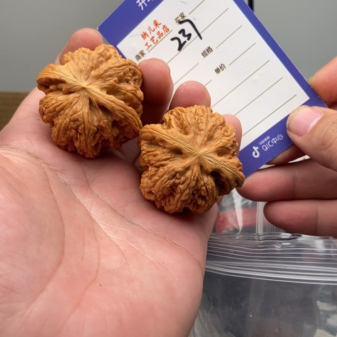 237号40尺寸大粗筋 维修 打底