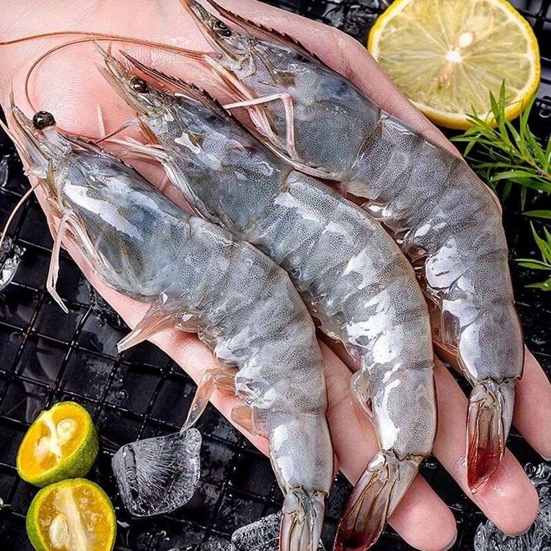 青岛大虾 4斤海水大虾 肉质鲜嫩大个头海水大虾单只15~18cm4斤共50~60只海虾