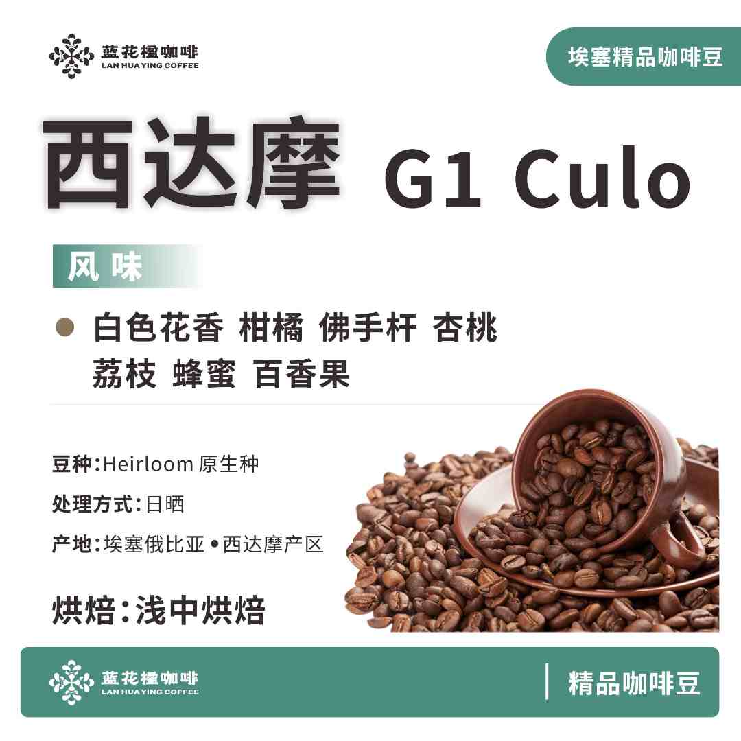 【西达摩 G1 culo】埃塞俄比亚日晒咖啡豆上等精品咖啡豆