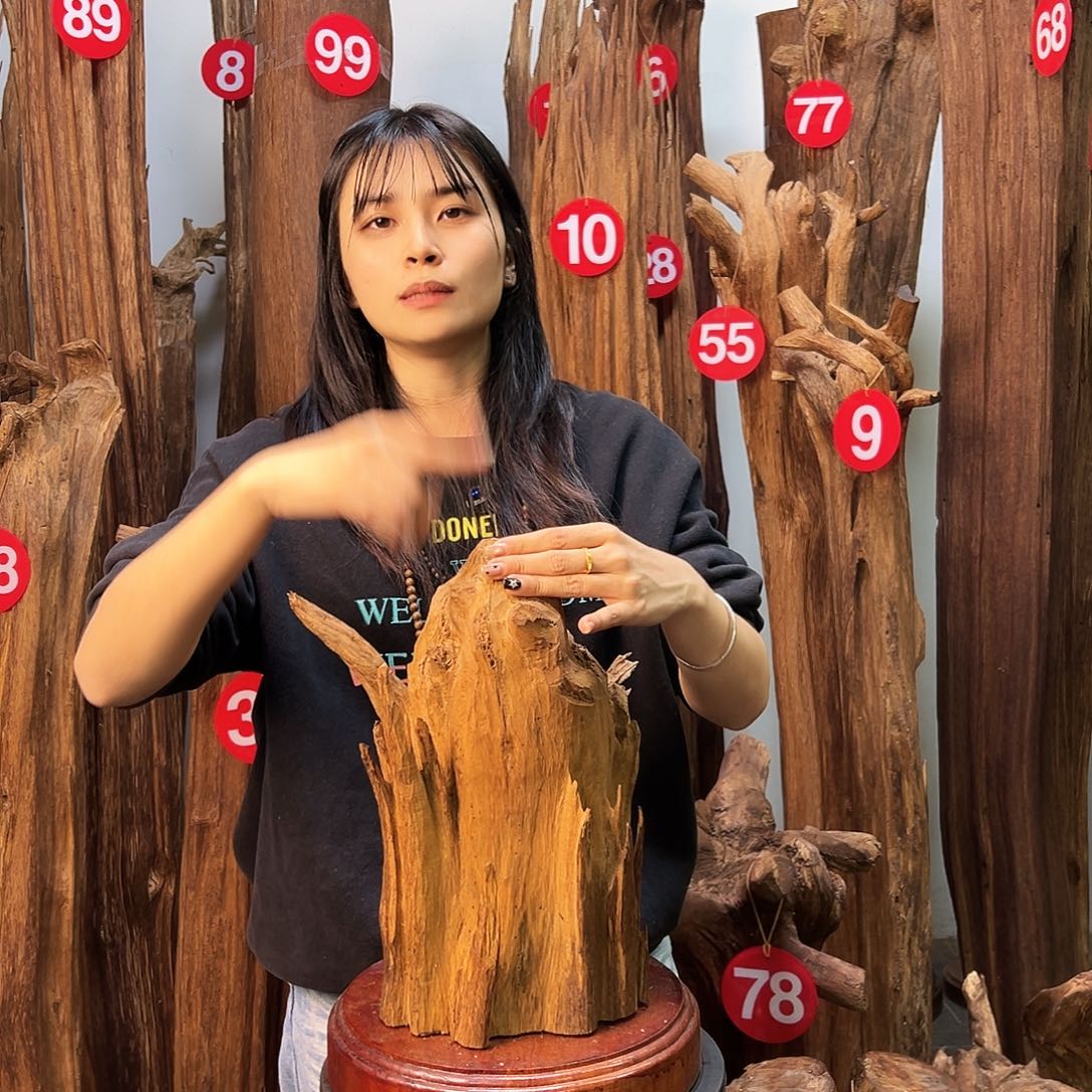 摆件沉香天然沉香原材料高品质