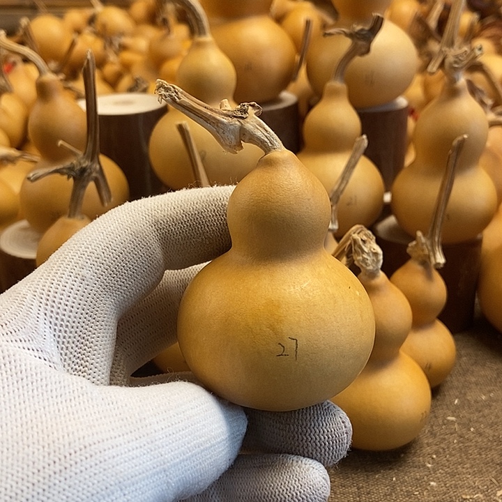 文玩葫芦 完美主义者 慎拍27