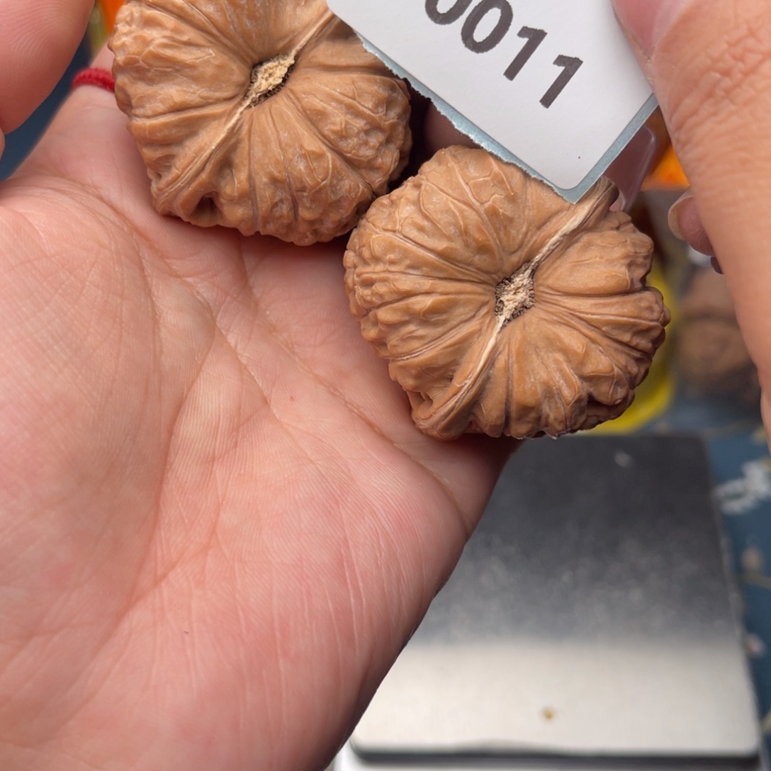 文玩核桃把件c*y南瓜墩43