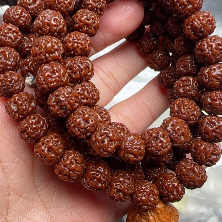 橄榄核手串橄榄菜等经济作物的