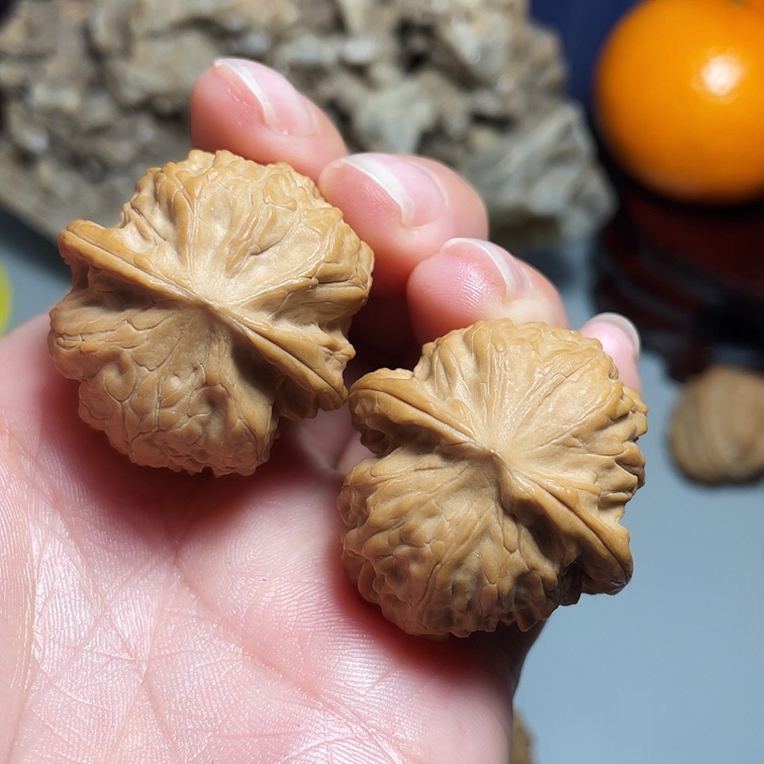 核桃手串/手链精品野狼33