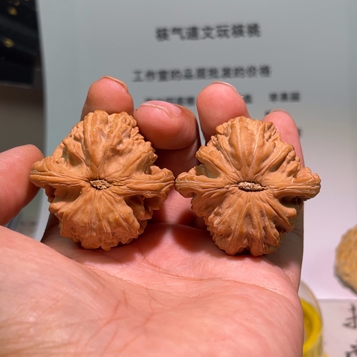 云***桥文玩核桃把件42白狮子