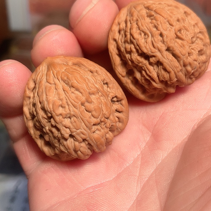 文玩核桃吊坠35红玛瑙