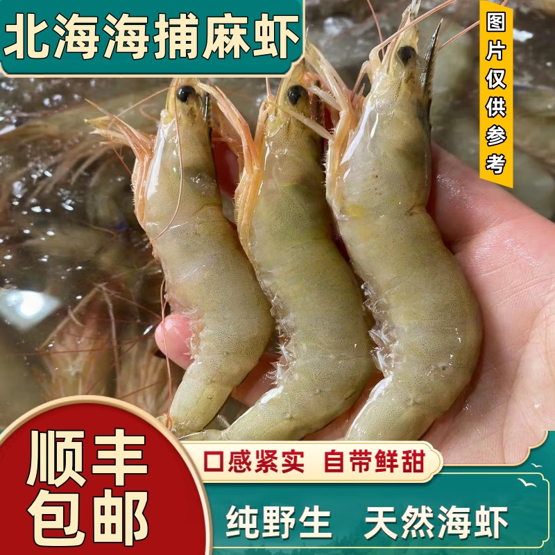 [顺丰包邮]3盒北部湾海捕麻虾现捕活冻芦虾剑虾深海天然北海海虾