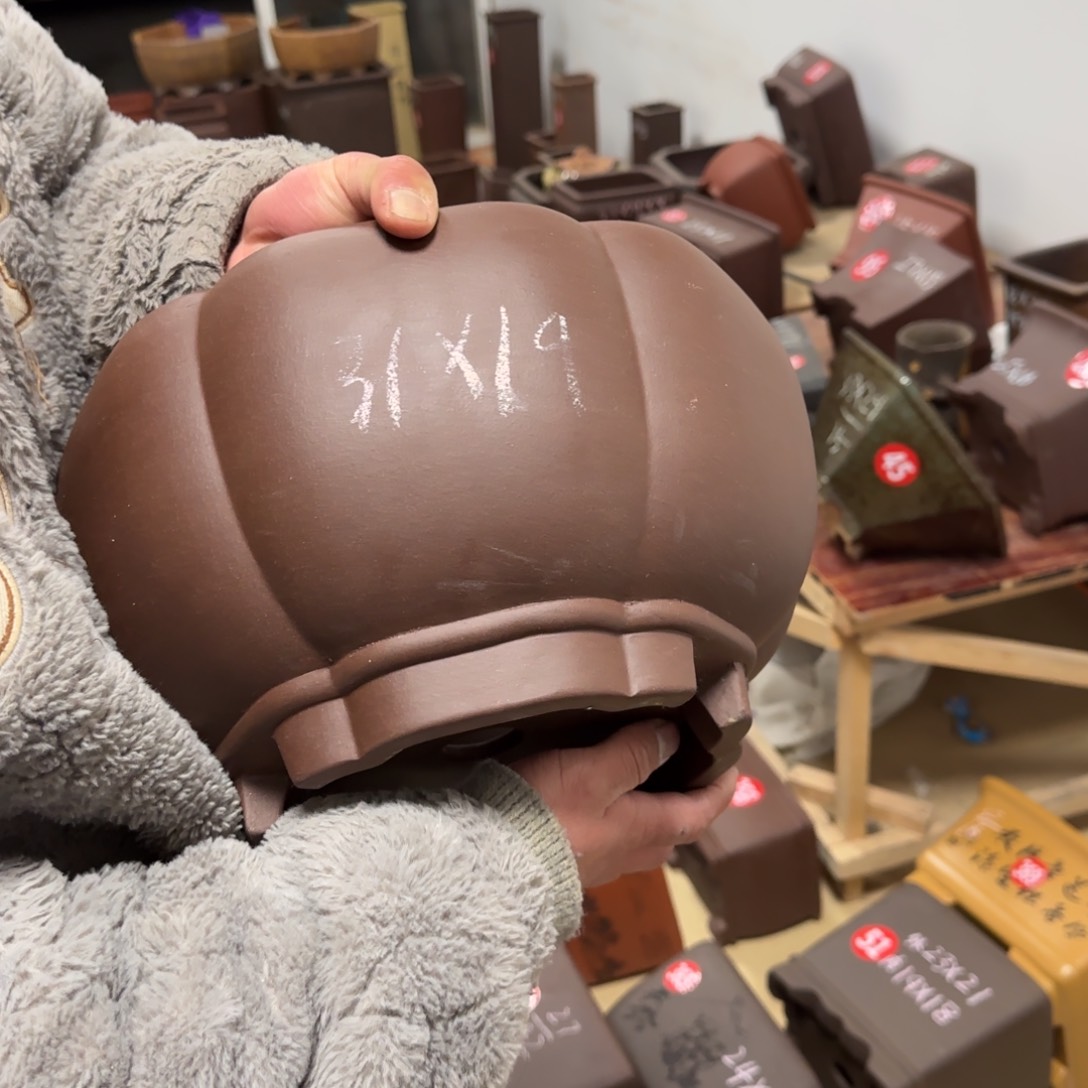 紫砂花盆呜呜呜呜