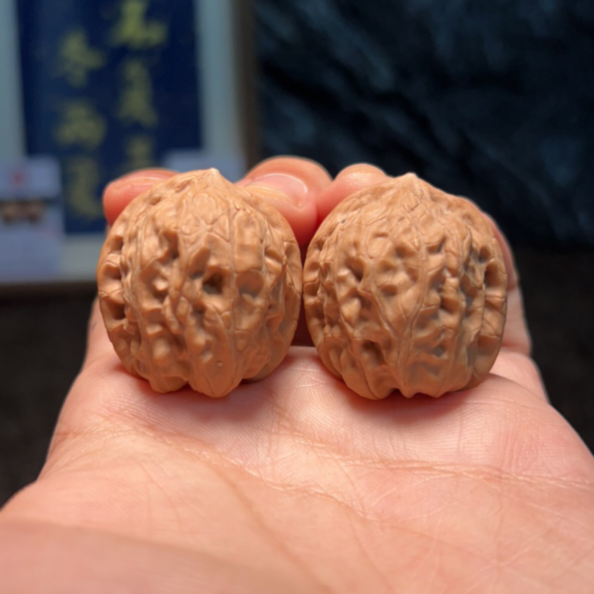 文玩核桃 原生树赤兔 9946号 31尺寸