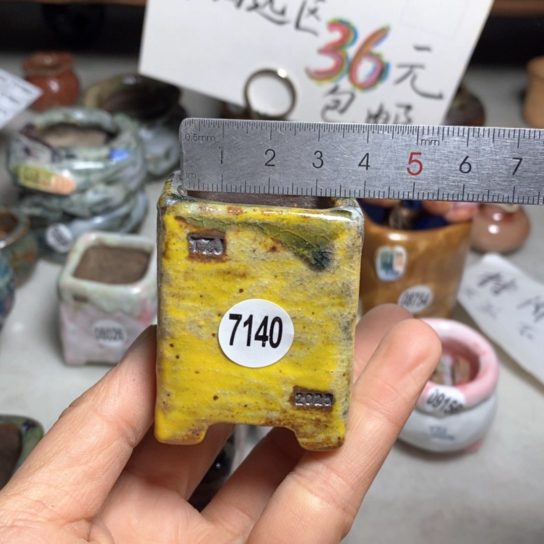 花盆双十二活动不退不换的原38元一个