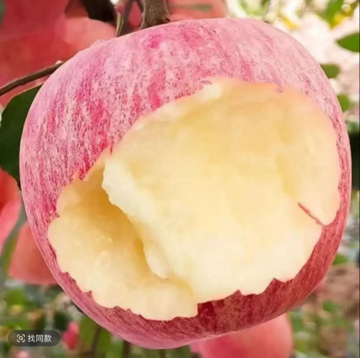 【脆甜】正宗山东新鲜苹果红富士苹果新鲜水果冰糖心苹果批发RL