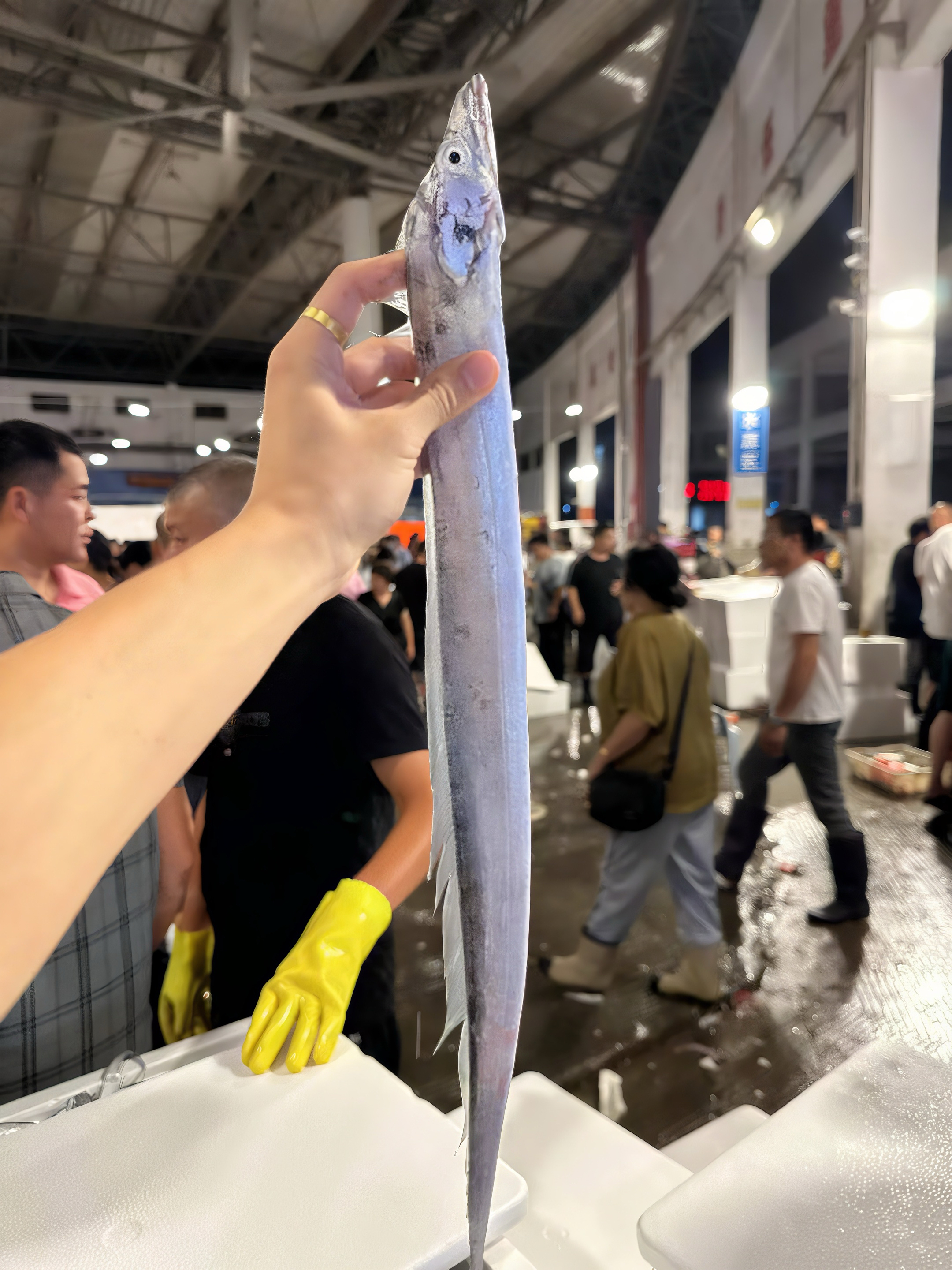 《东海优品》台州东海小号鲜活小带鱼4-5条左右/斤 顺丰包邮