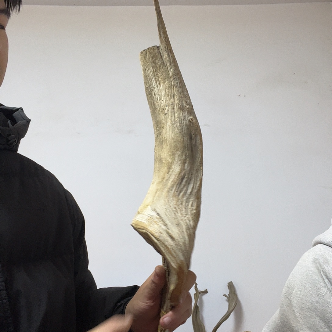 本***活柏木（崖柏）却又不知道