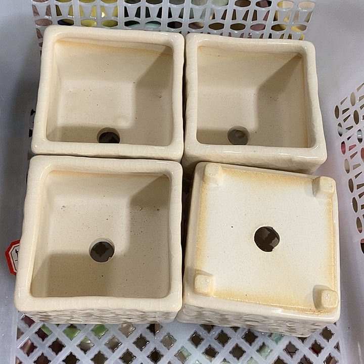 花盆抢购清货马上开始