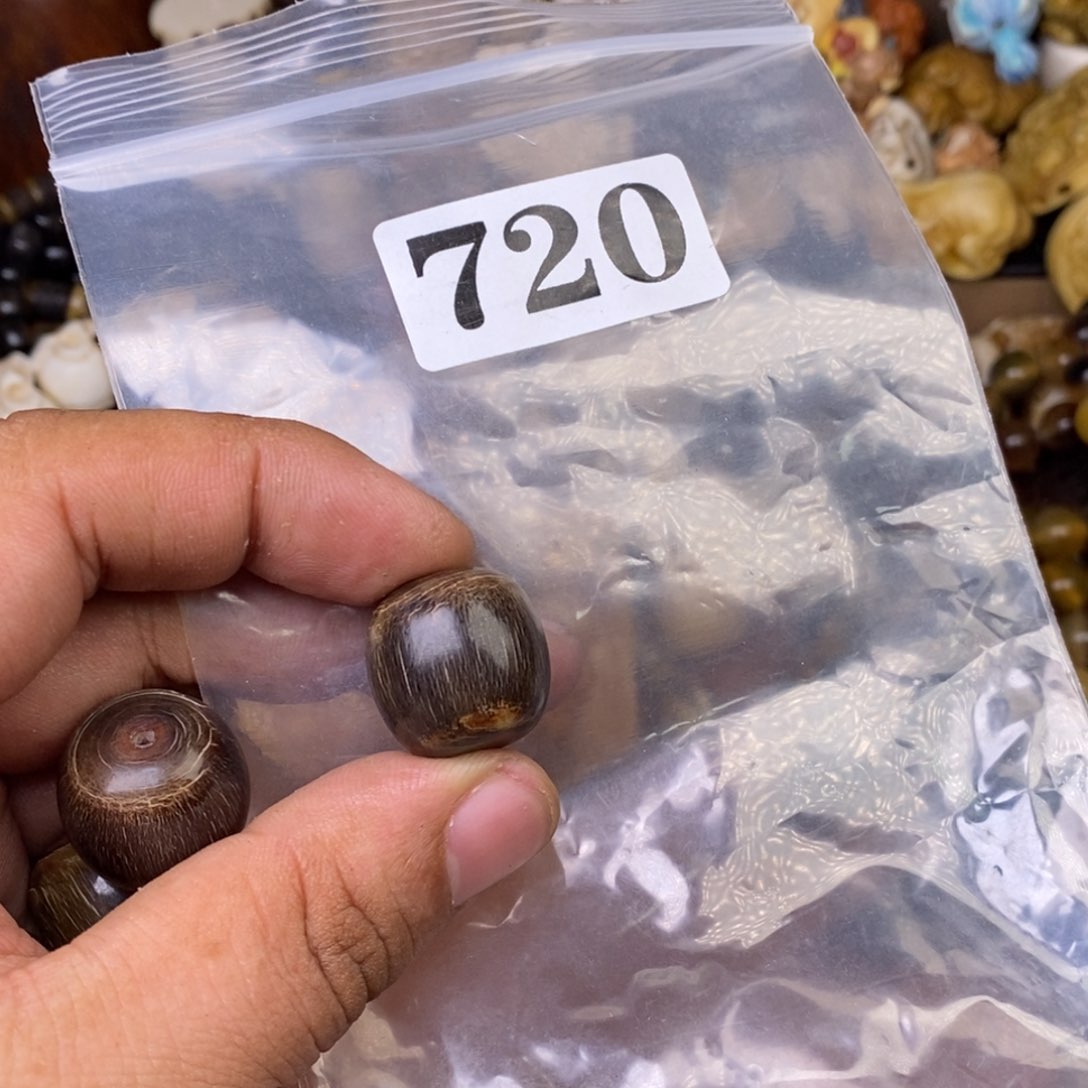 其他驼骨人工样子