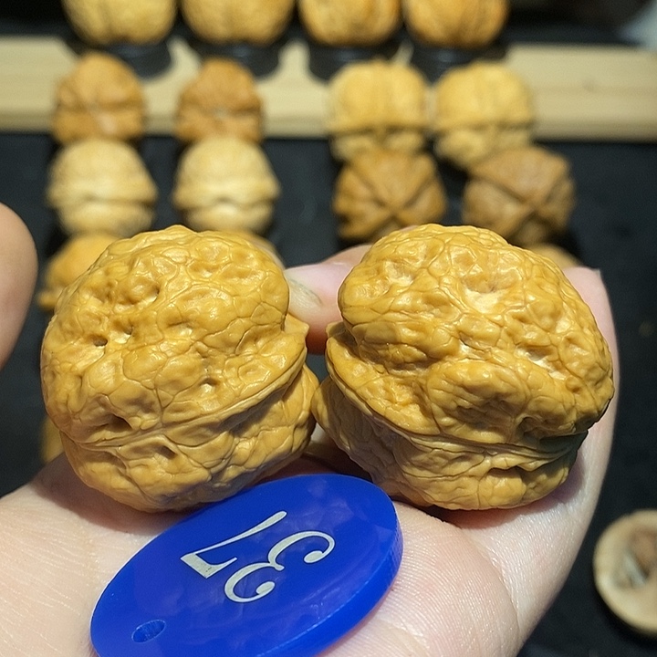 核桃盘龙十八包36尺寸