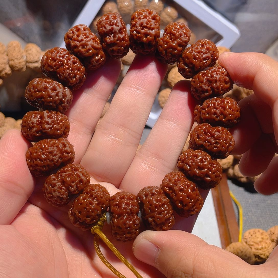 手串金刚菩提23+夹板爆肉刹车片