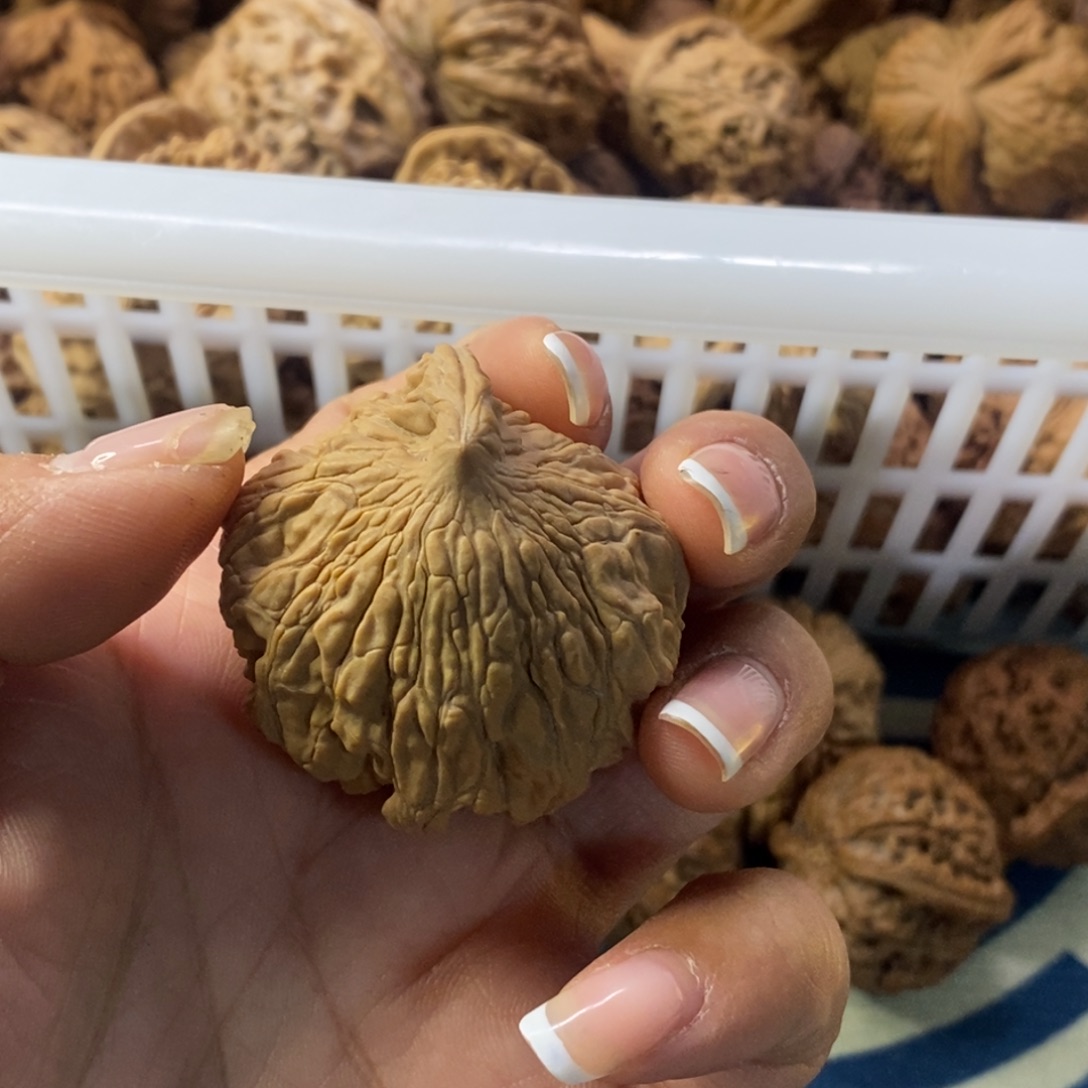 南***湖吊坠文玩核桃一根筋