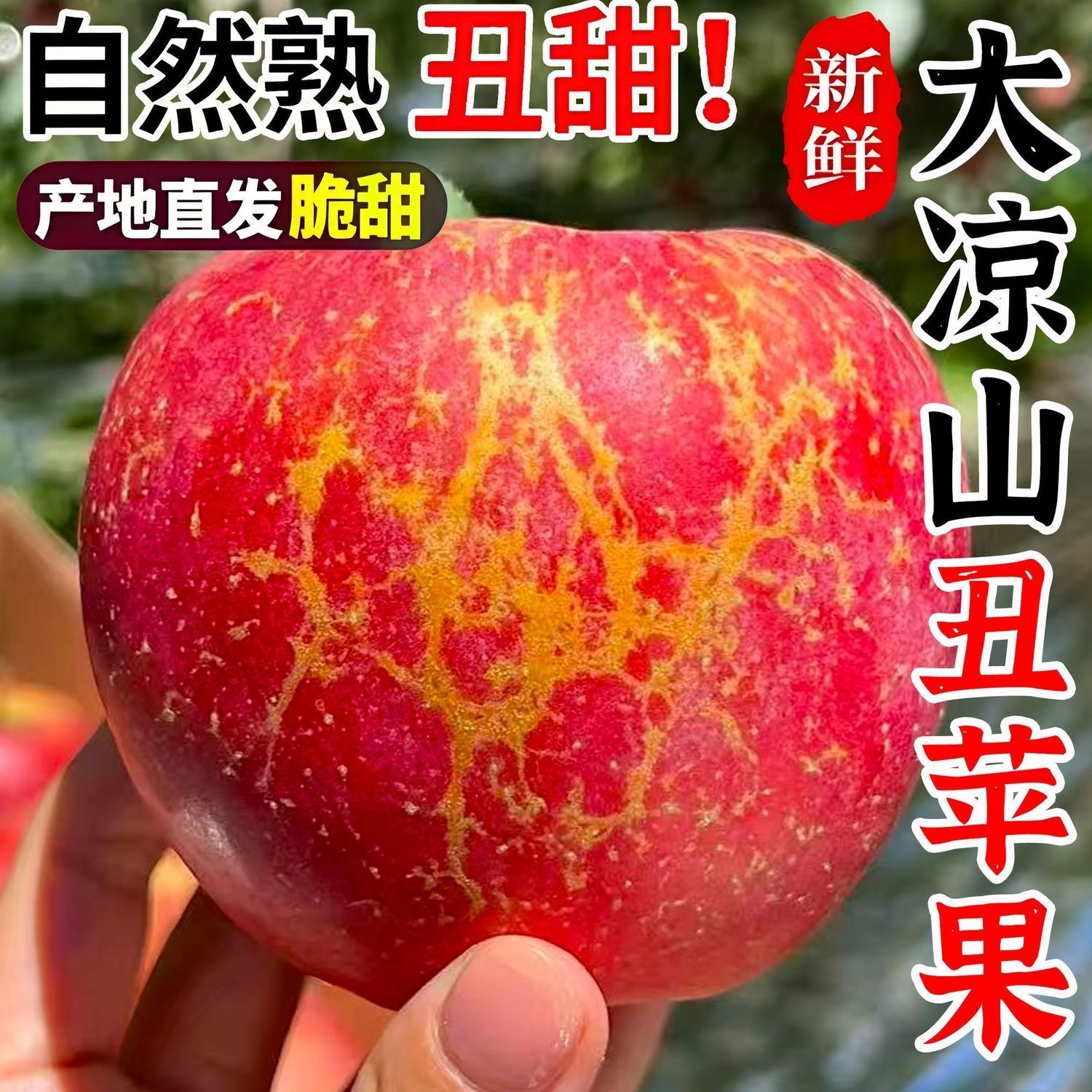 【生鲜专线】四川大凉山新鲜丑苹果好吃脆甜多汁多仓发货w02四川省