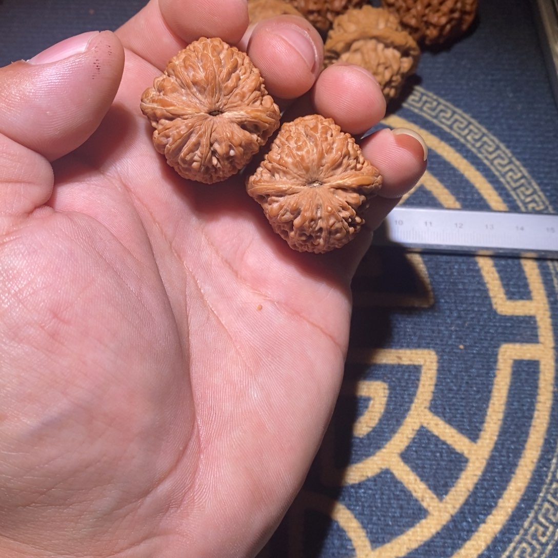 文玩核桃吊坠会***螂大蒜