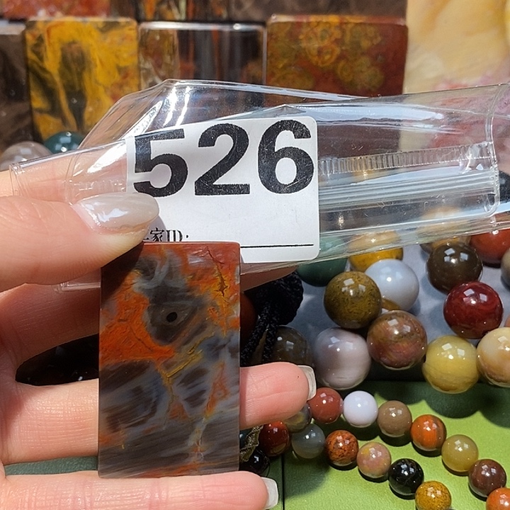 硅化玉未镶嵌天然北票树化玉吊坠