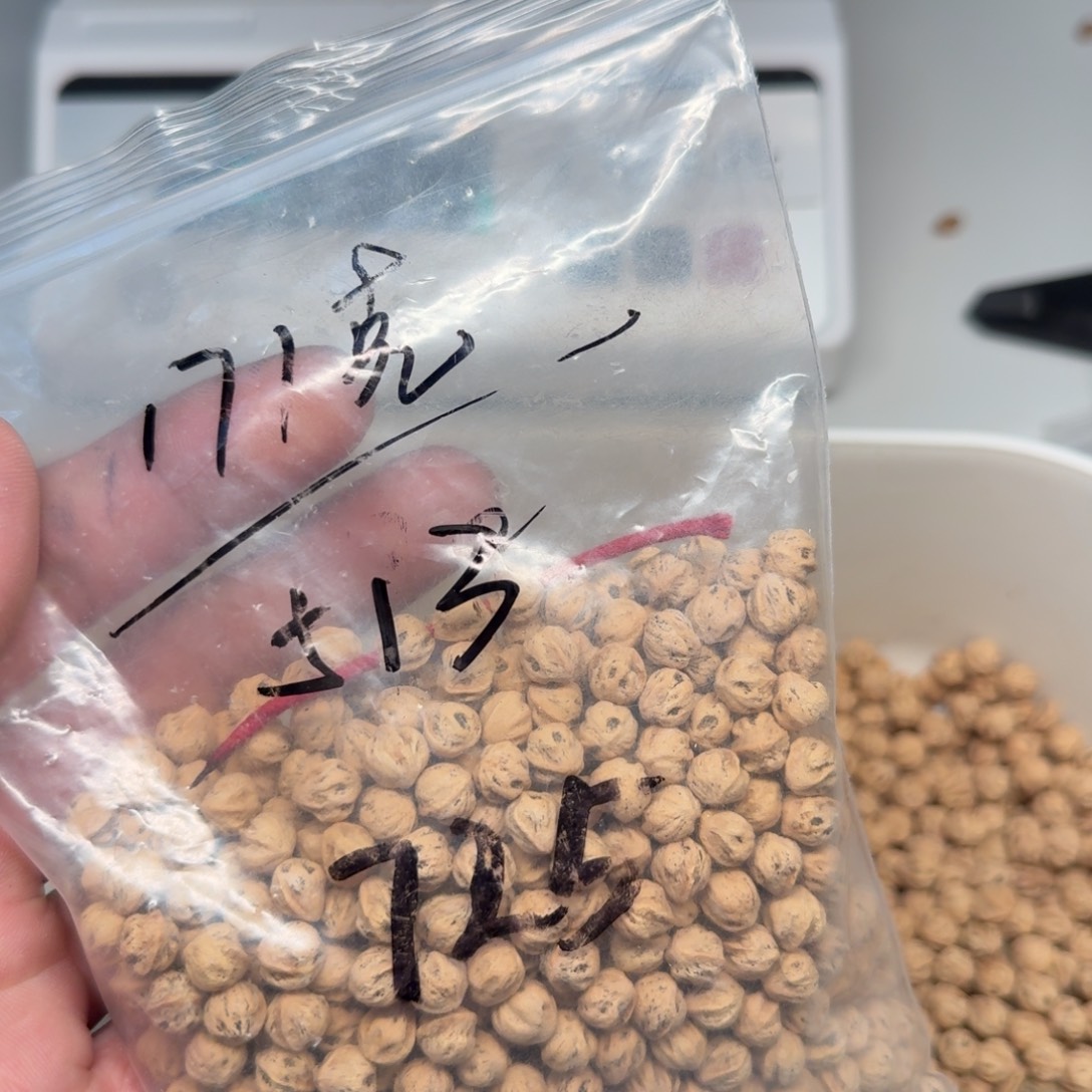 细***香柏香籽/百香籽吊坠