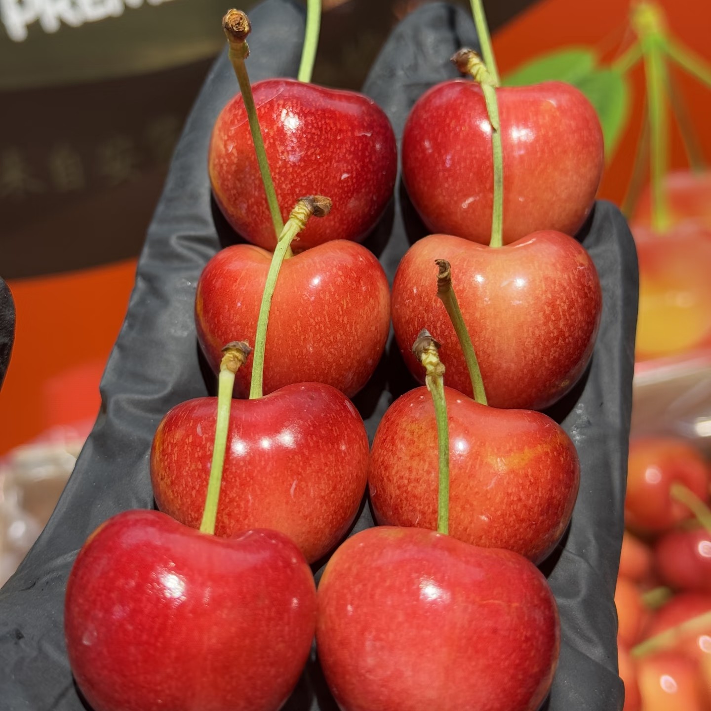 空运斯凯拉雷天空之城黄车厘子一箱4斤装(原箱）3JJJ斯凯拉雷新西兰