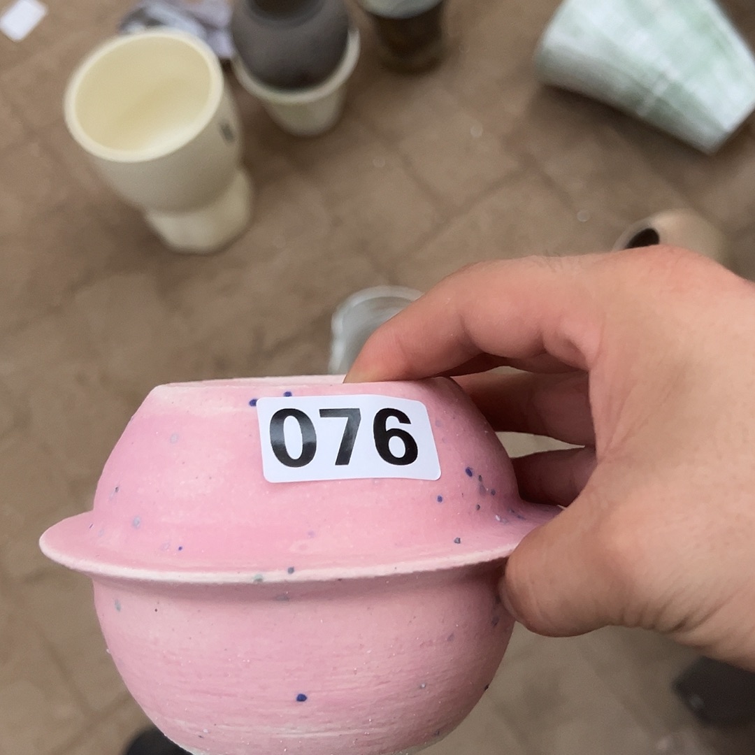 景德镇星球盆粉色