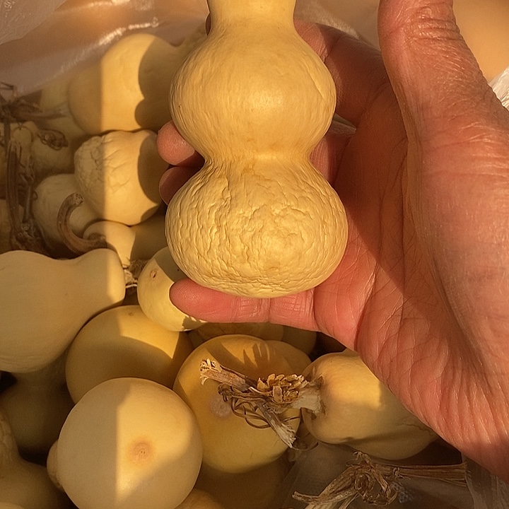 嘟****炮弹葫芦手把件葫芦葫芦