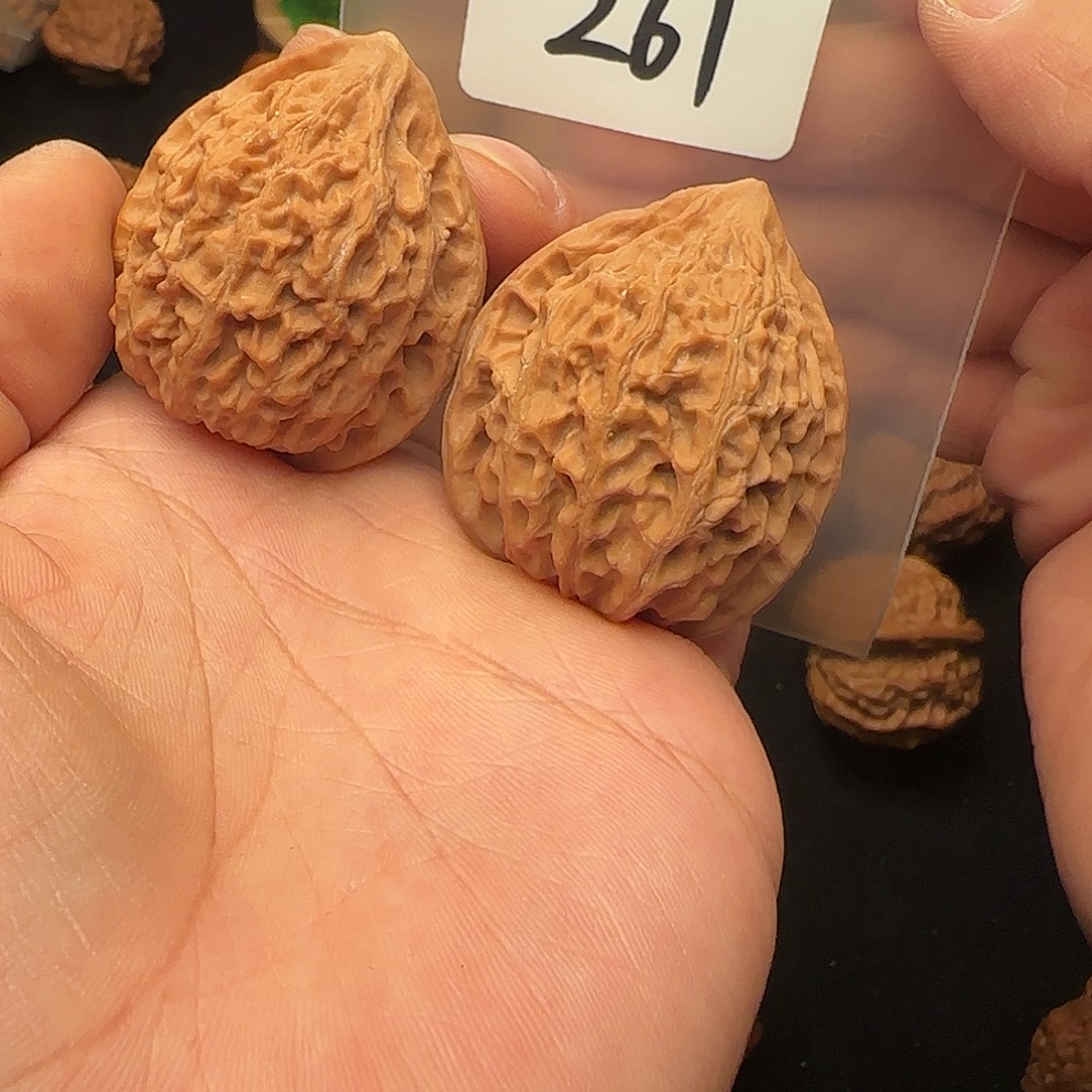 把件文玩核桃261全品38金牛