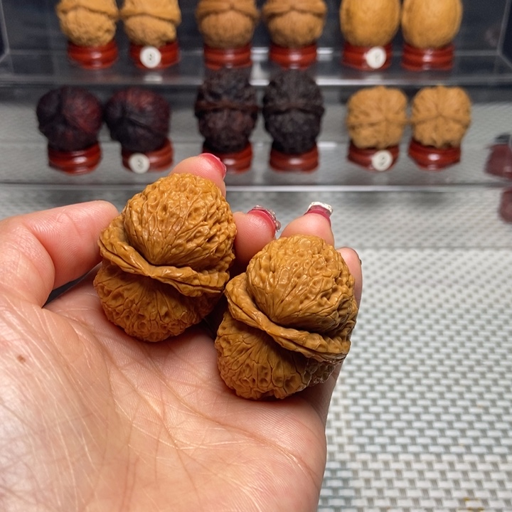 文玩核桃把件6食蚁兽