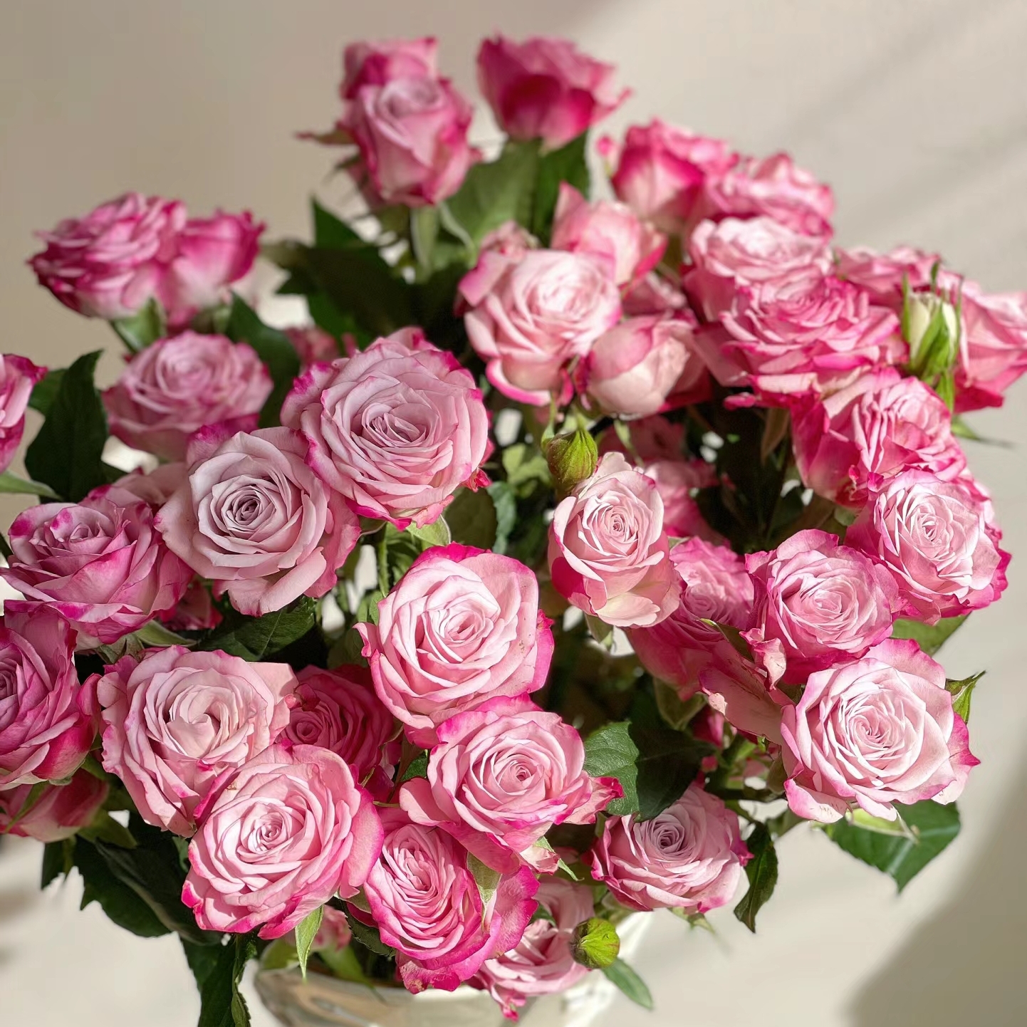 氧花季  花花公子多头玫瑰9支+1支防损 一单包邮 两单升级快递