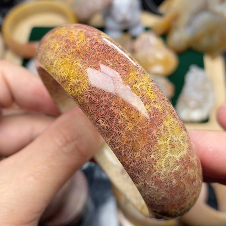 硅化珊瑚（珊瑚玉）手镯未镶嵌58