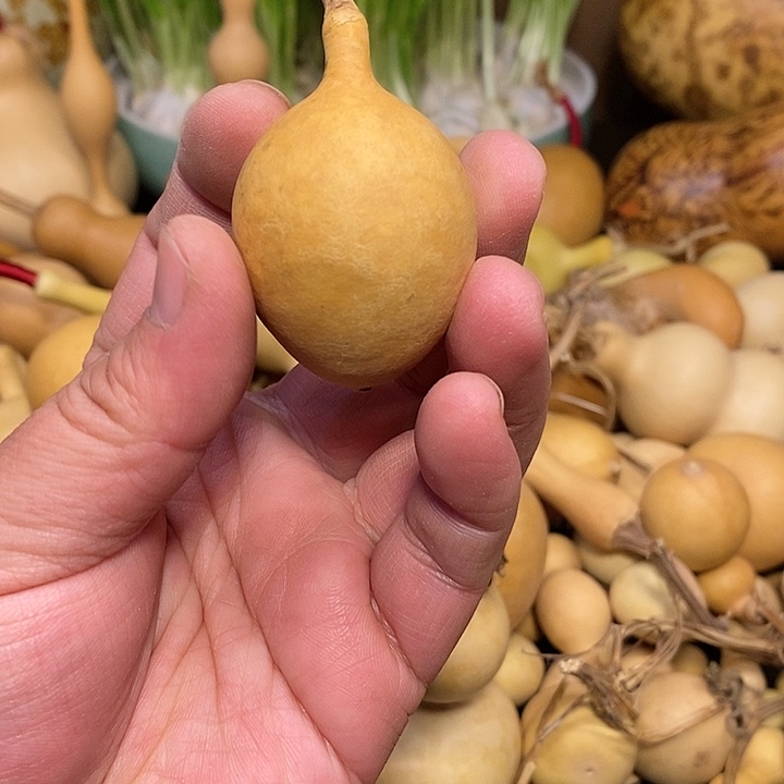 凡*精品葫芦手把葫芦74