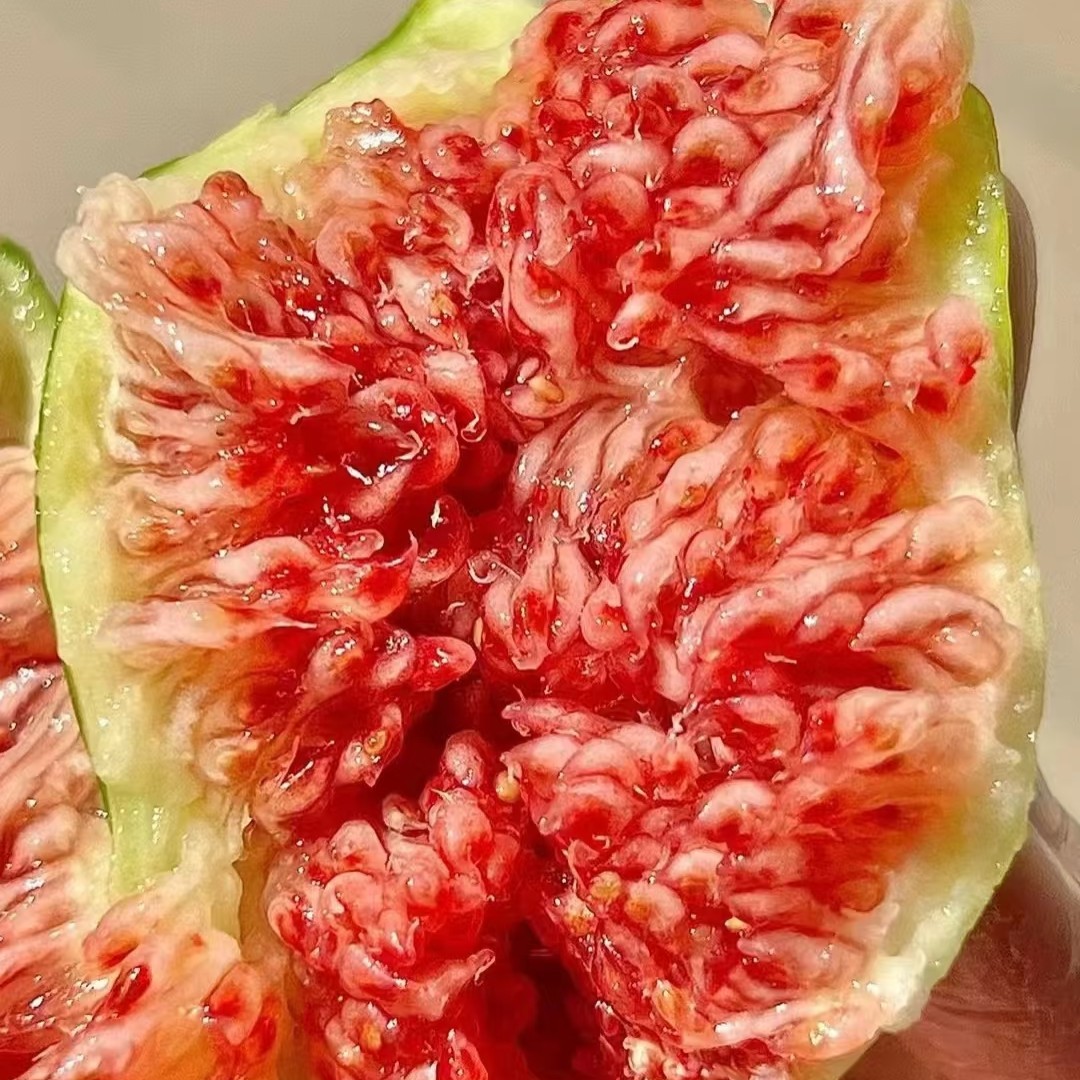 【天然益生菌】树熟鲜无花果（5个）