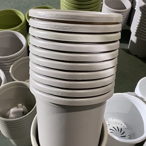 树脂微瑕4号8个无托灰白