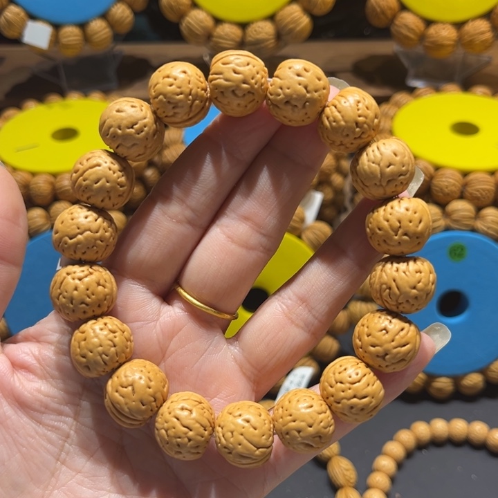 16尺寸小金丹3号串