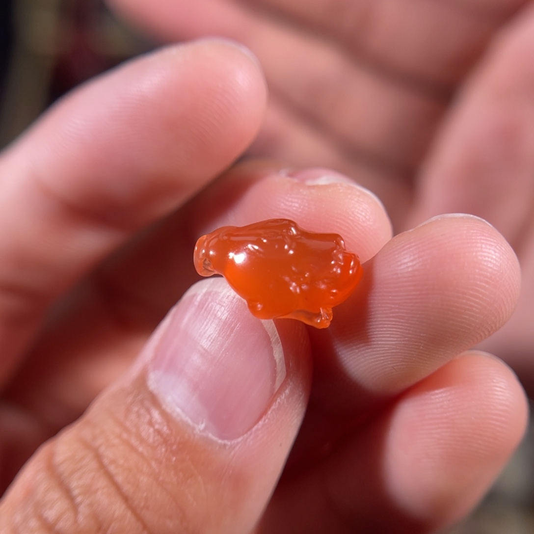 南红玛瑙丽江料金蟾侧挂14.1*9.4未镶嵌