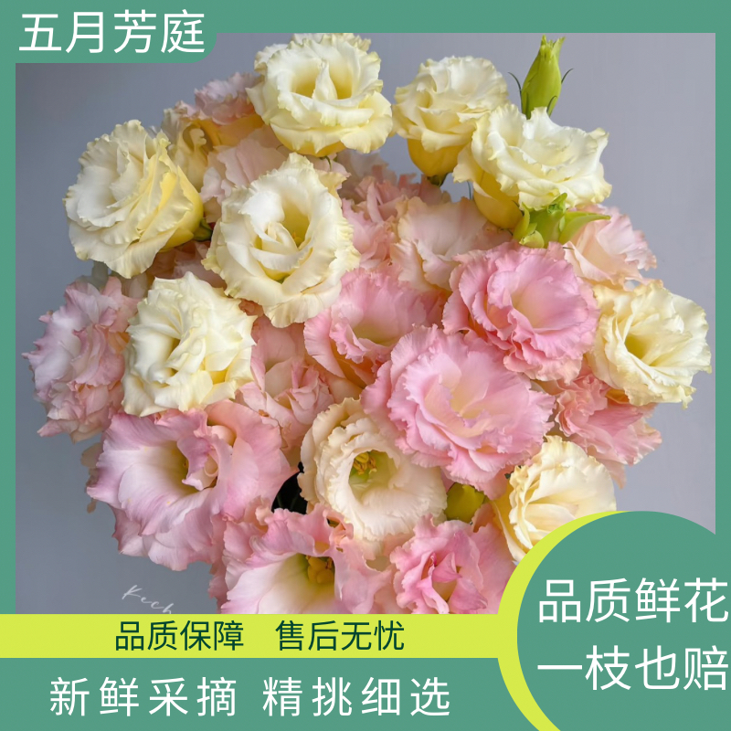 #凑单福利 洋桔梗【鲑鱼粉】香槟洋桔梗800g——云南直发鲜花行业生活