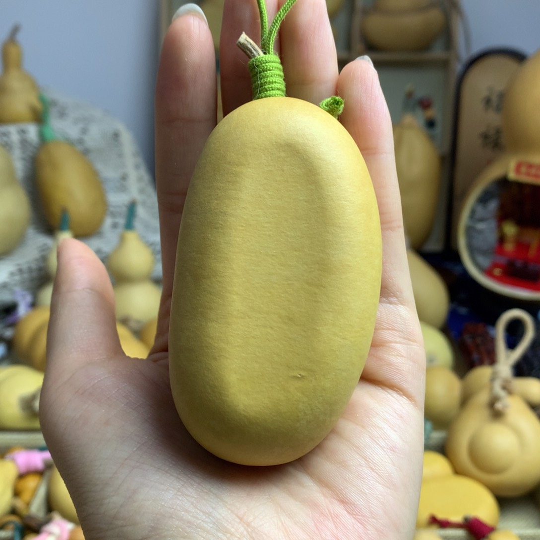 葫芦28号冬瓜肠扁扁