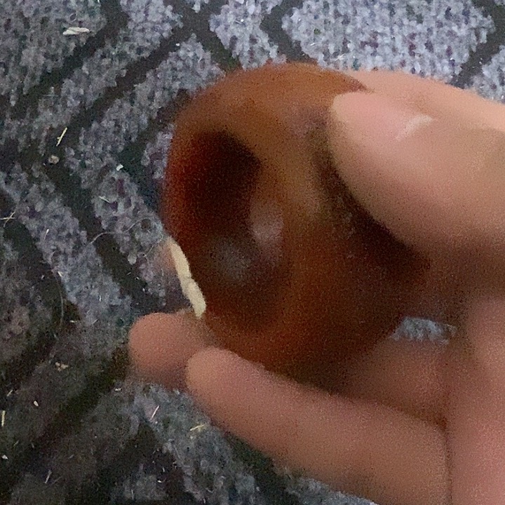 玉玉章1111111111111