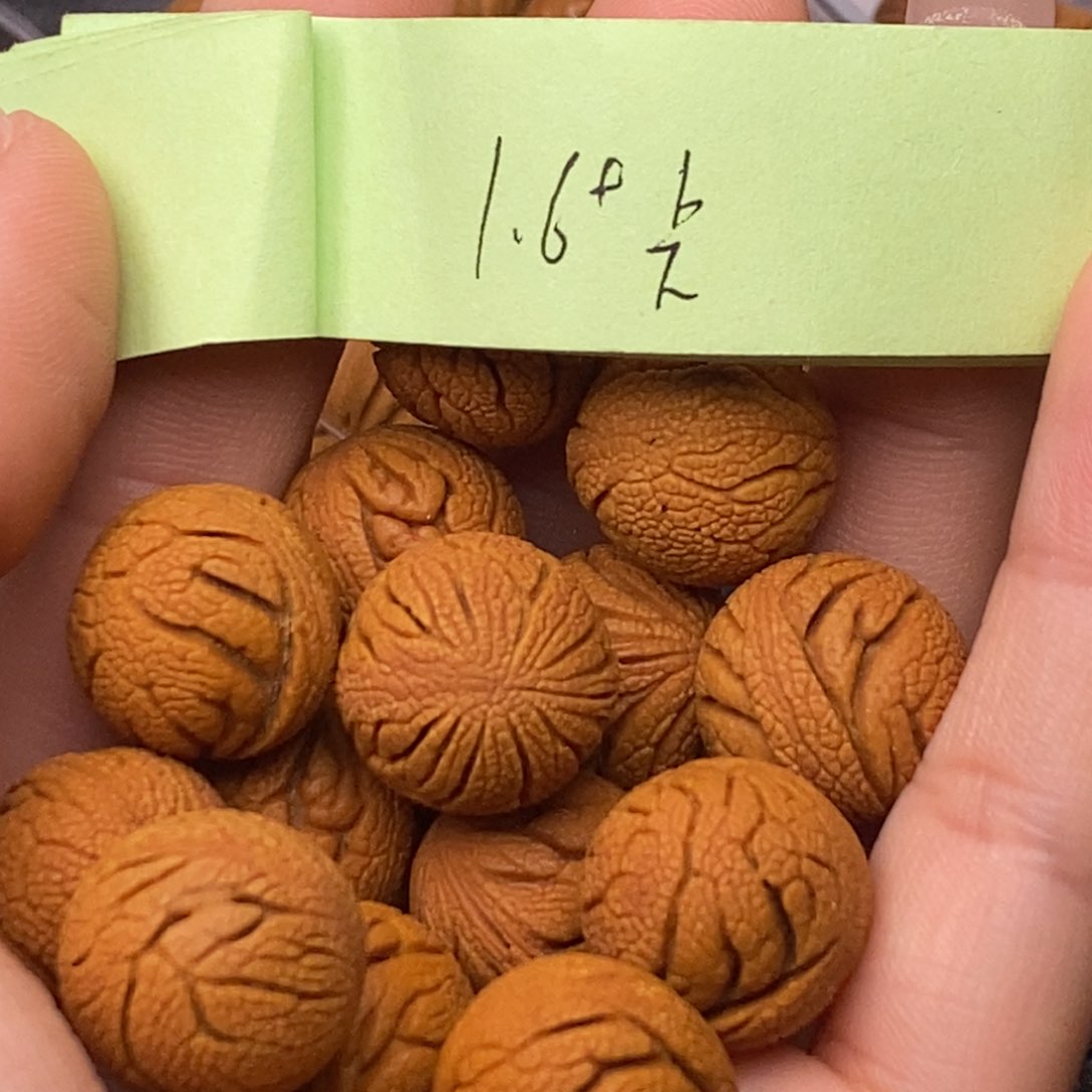 秦岭山脉龙纹桃核 15