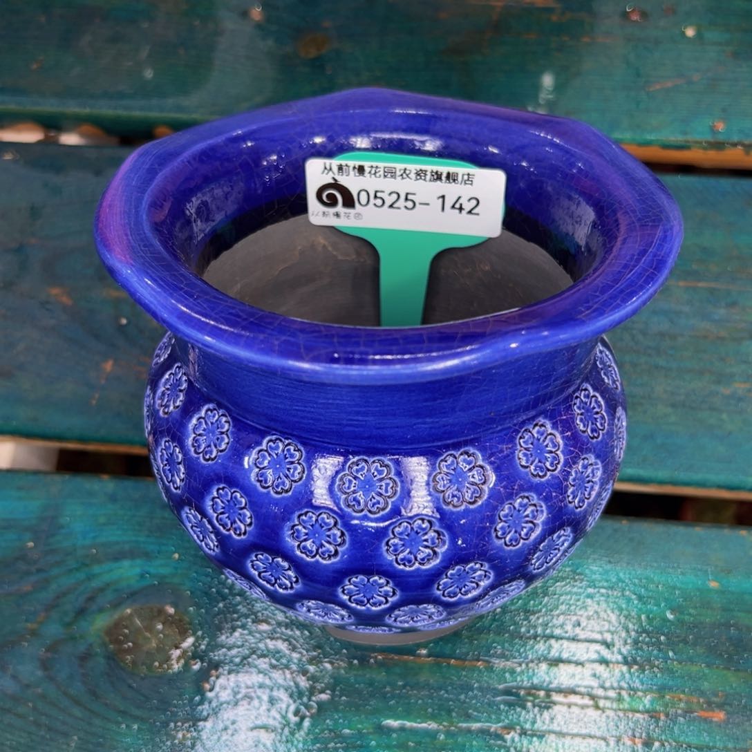 多肉一物一拍0525-142