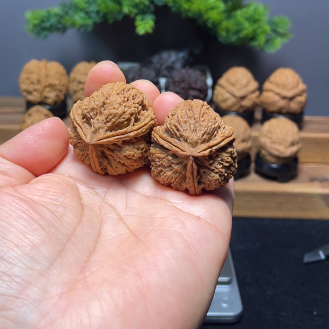 文玩核桃吊坠云南铁核桃15