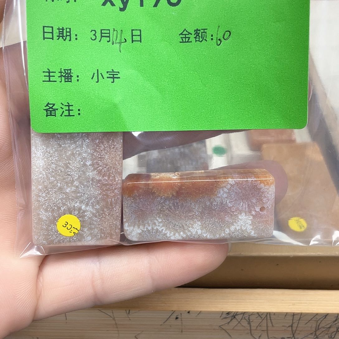 硅化珊瑚（珊瑚玉）未镶嵌手镯莫****2196