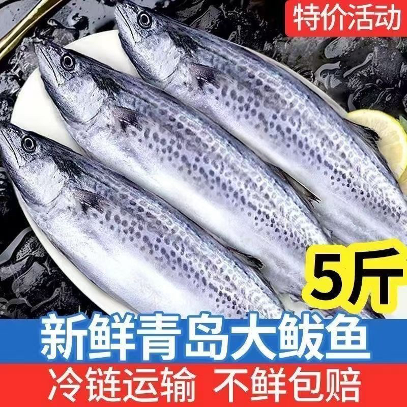 【顺丰包邮】马鲛鱼新鲜冷冻野生燕尾鱼无冰净重整条