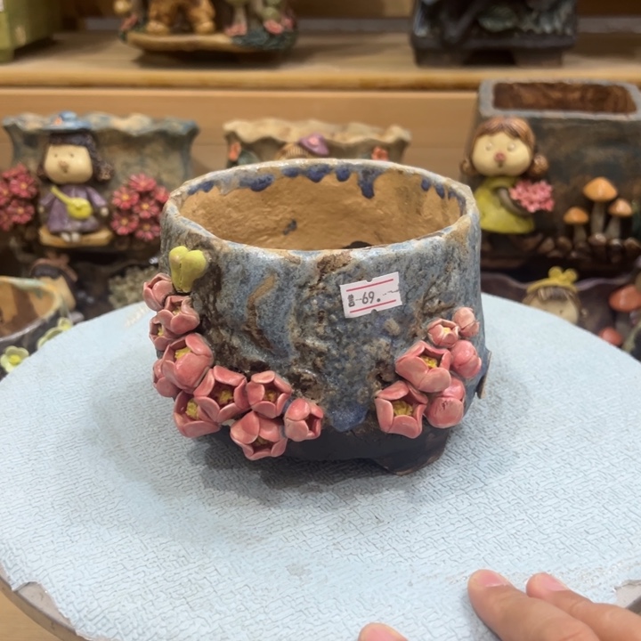 陶然多肉花盆百搭