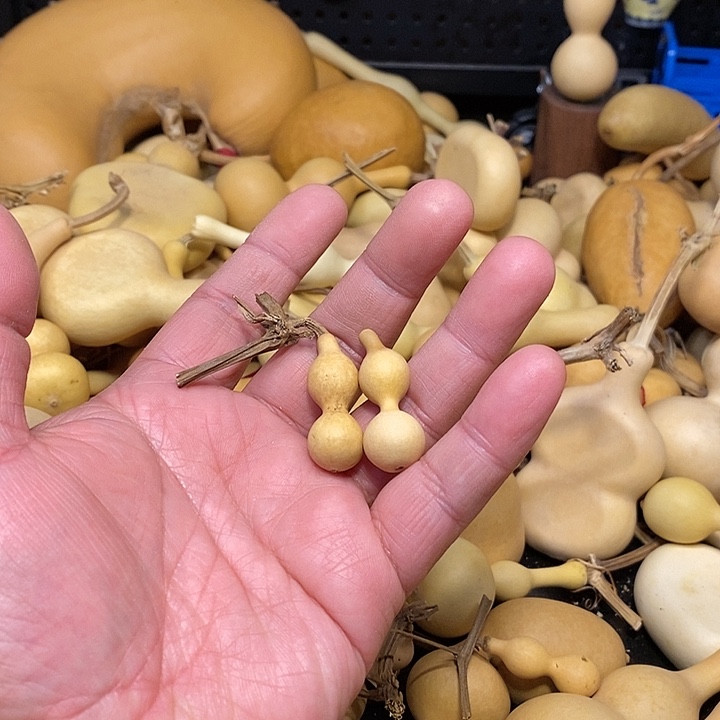 1****9精品葫芦手把葫芦36