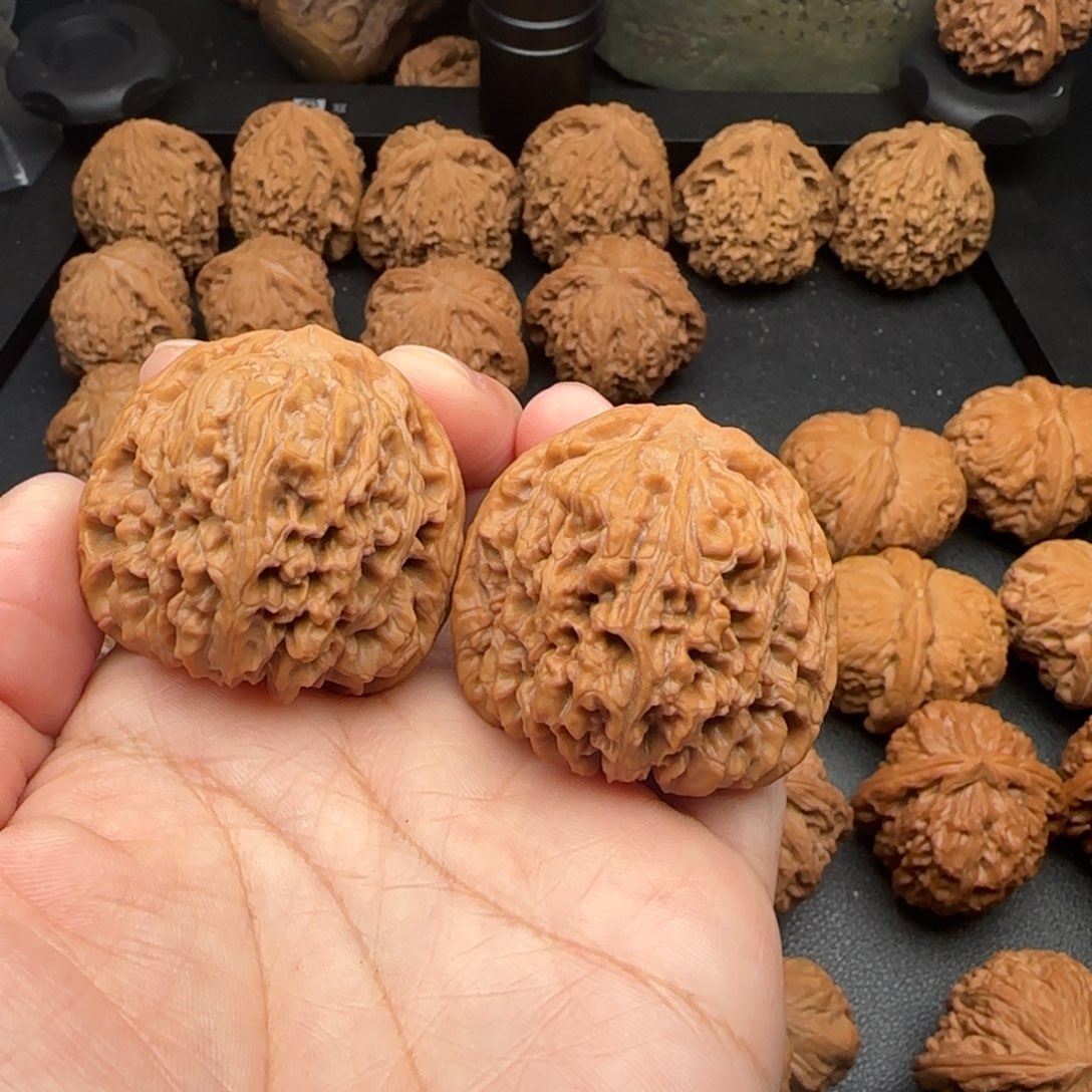 41尺全品无修涿鹿疆