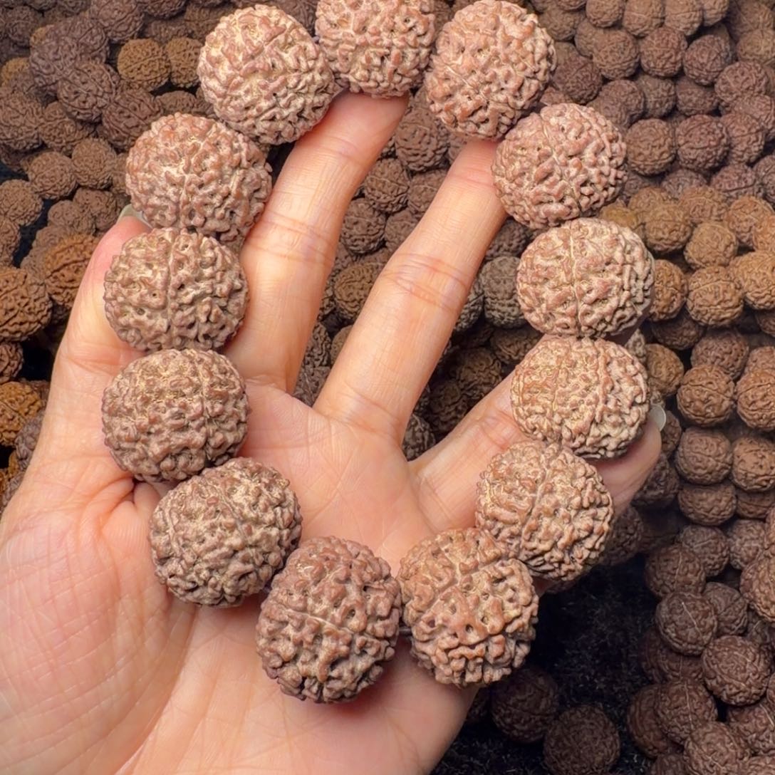 手串金刚菩提8瓣卡24尺，66号
